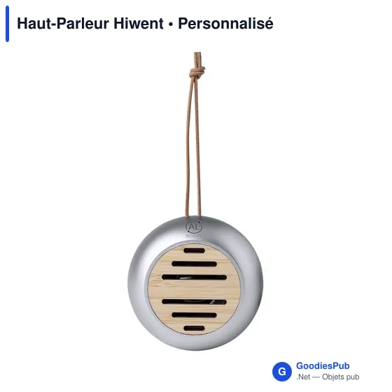 Haut-Parleur Hiwent - Image 2