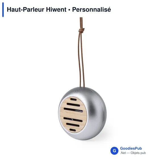 Haut-Parleur Hiwent - Image 3
