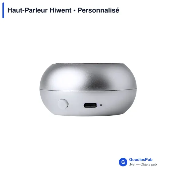 Haut-Parleur Hiwent - Image 5