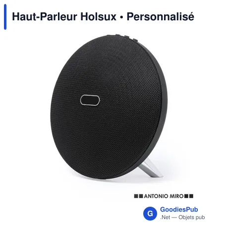 Haut-Parleur Holsux