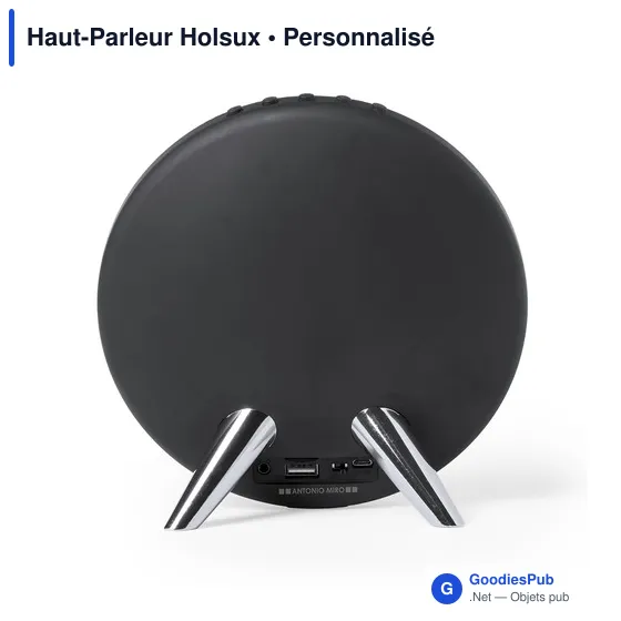 Haut-Parleur Holsux - Image 3
