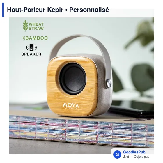 Haut-Parleur Kepir - Image 3
