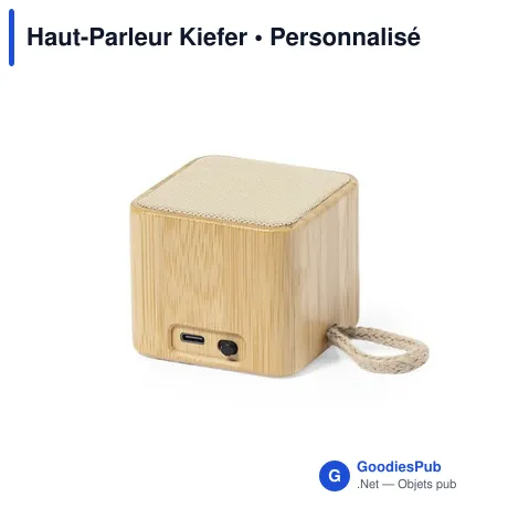 Haut-Parleur Kiefer