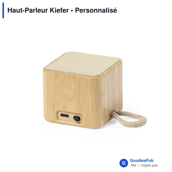 Haut-Parleur Kiefer - Image 1