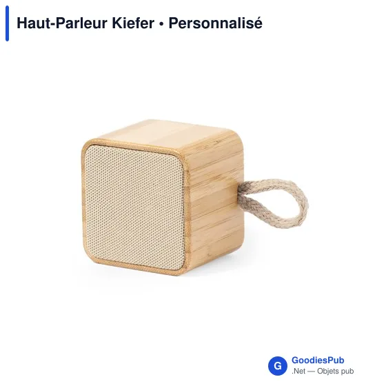 Haut-Parleur Kiefer - Image 2