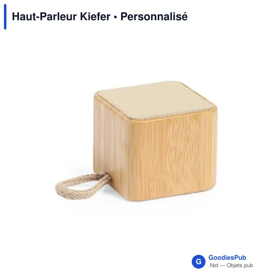 Haut-Parleur Kiefer - Image 5