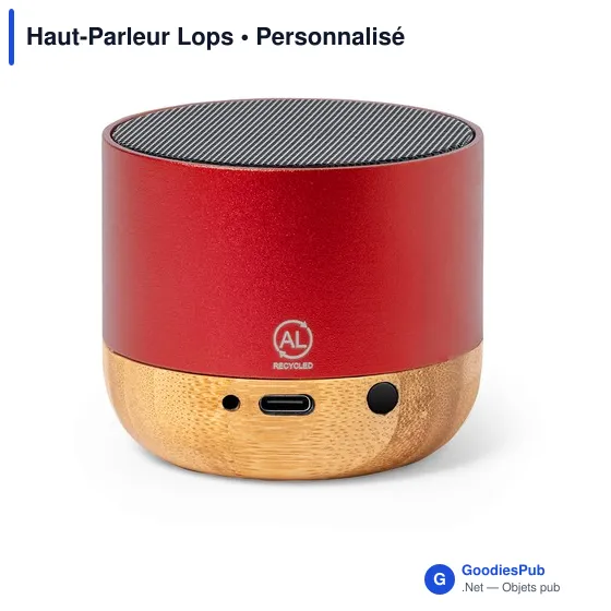 Haut-Parleur Lops - Image 7