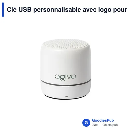 Clé USB personnalisable avec logo pour entreprises
