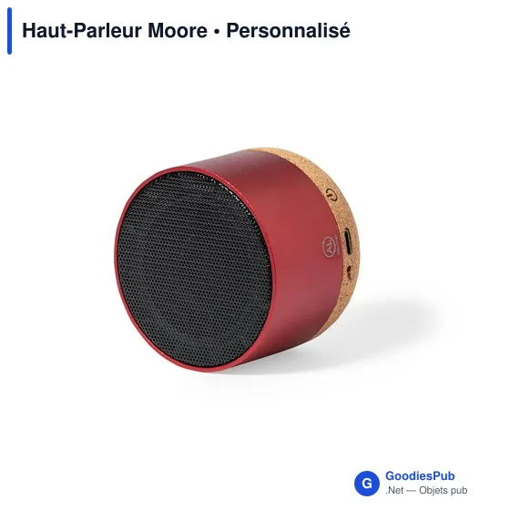 Haut-Parleur Moore - Image 12