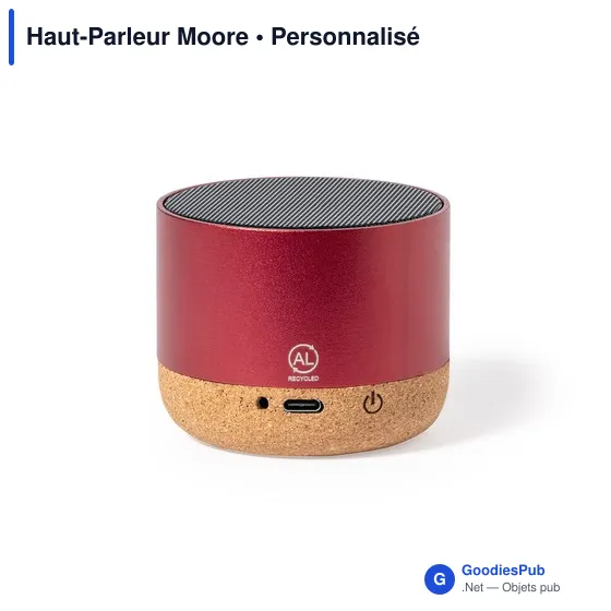 Haut-Parleur Moore - Image 4