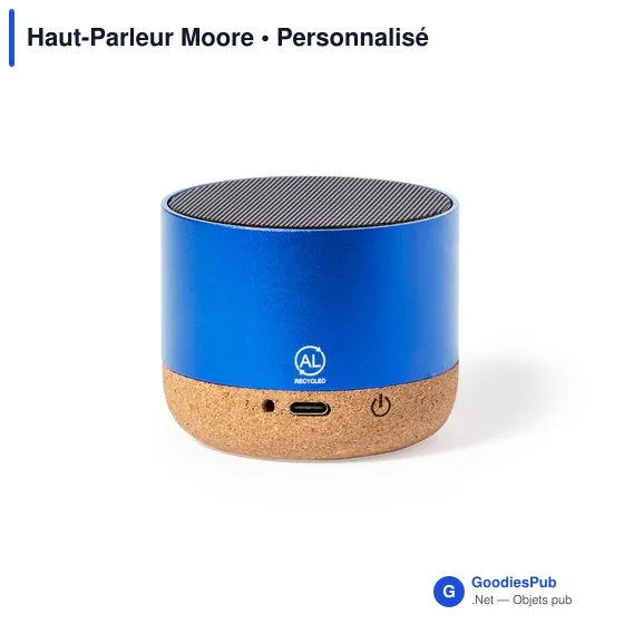 Haut-Parleur Moore - Image 7