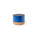Variante bleu - Haut-Parleur Moore