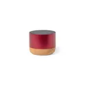 Variante rouge - Haut-Parleur Moore