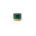 Variante vert - Haut-Parleur Moore