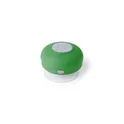 Variante vert - Haut-Parleur Rariax