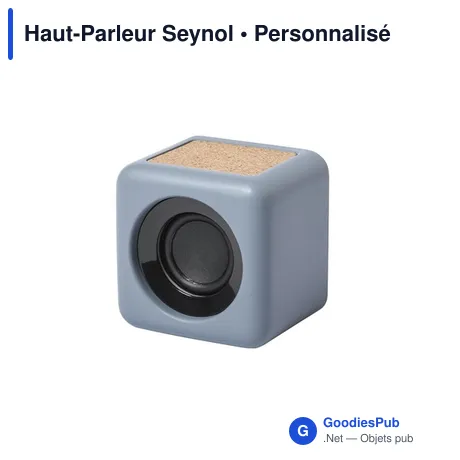 Haut-Parleur Seynol
