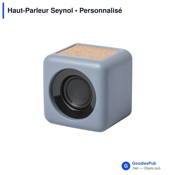 Haut-Parleur Seynol - Image 2