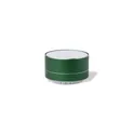 Variante vert - Haut-Parleur Skind
