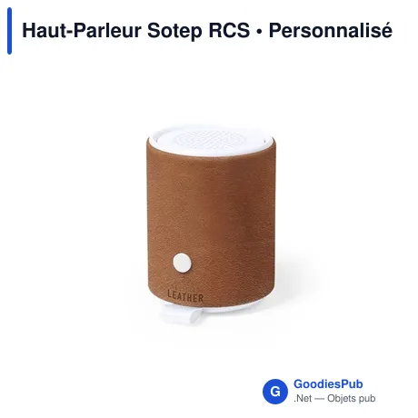 Haut-Parleur Sotep RCS