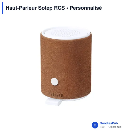 Haut-Parleur Sotep RCS - Image 2