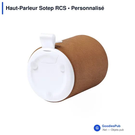 Haut-Parleur Sotep RCS - Image 4
