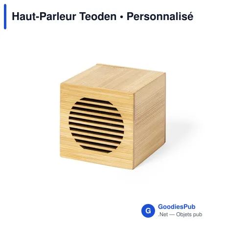 Haut-Parleur Teoden