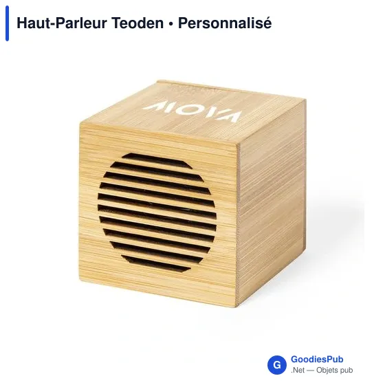 Haut-Parleur Teoden - Image 3