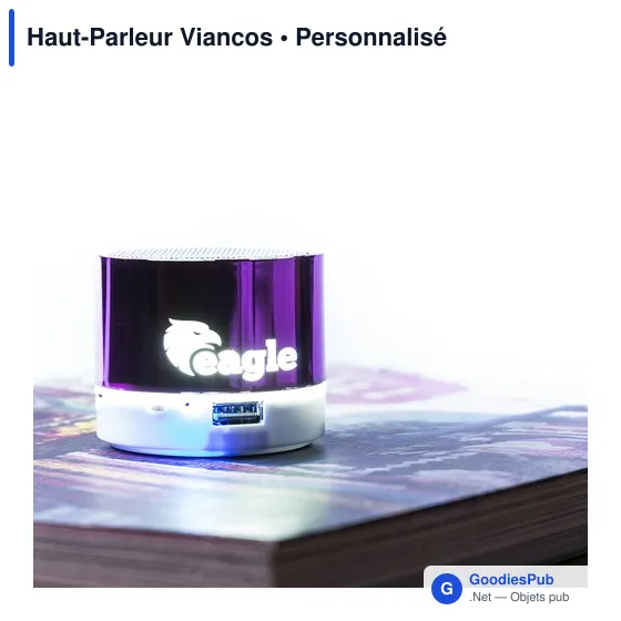Haut-Parleur Viancos - Image 7