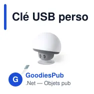 Clé USB personnalisable avec logo pour entreprises et événements - Miniature 1
