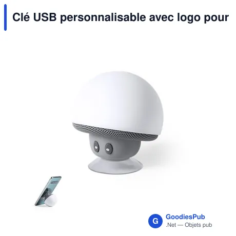 Clé USB personnalisable avec logo pour entreprises et événements