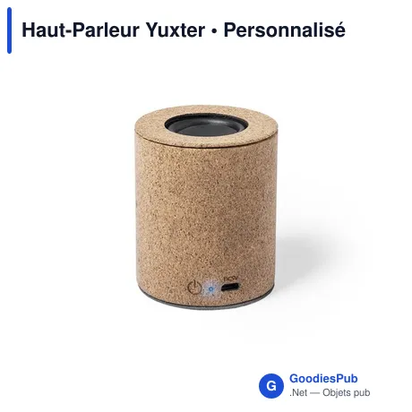 Haut-Parleur Yuxter