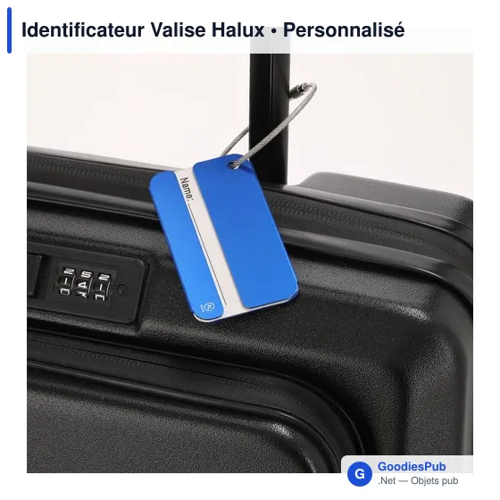 Identificateur Valise Halux - Image 3