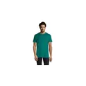 Variante émeraude - IMPERIAL MEN T-Shirt 190g