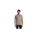 Variante gris clair - IMPERIAL MEN T-Shirt 190g