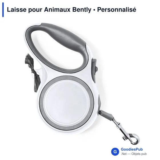 Laisse pour Animaux Bently - Image 2