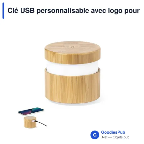 Clé USB personnalisable avec logo pour entreprises