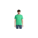 Variante vert printemps - LEGEND TEESHIRT