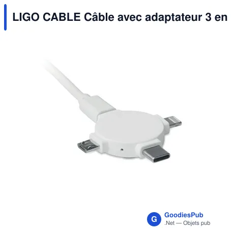 LIGO CABLE Câble avec adaptateur 3 en 1