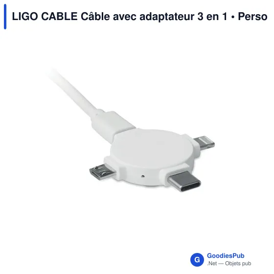 LIGO CABLE Câble avec adaptateur 3 en 1 - Image 1