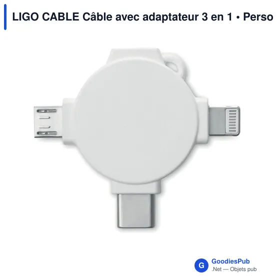 LIGO CABLE Câble avec adaptateur 3 en 1 - Image 2