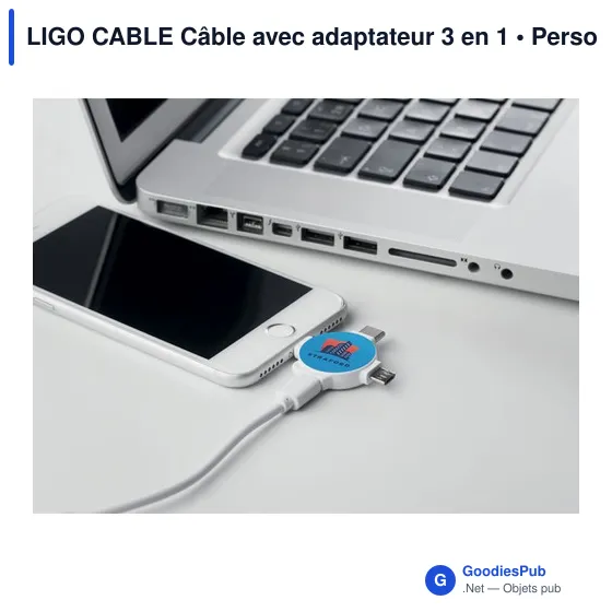 LIGO CABLE Câble avec adaptateur 3 en 1 - Image 4