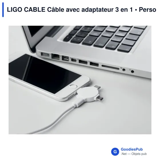 LIGO CABLE Câble avec adaptateur 3 en 1 - Image 6