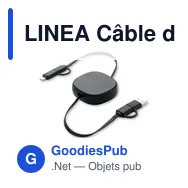 LINEA Câble de charge rétractable 60W - Miniature 1