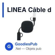LINEA Câble de charge rétractable 60W - Miniature 2