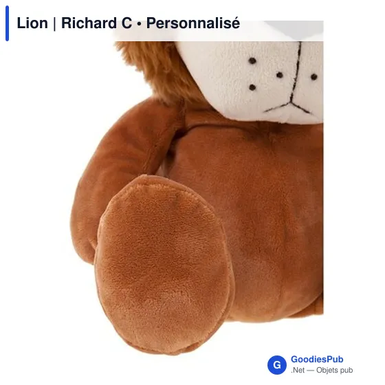 T-shirt personnalisé pour entreprise avec logo - Lion Richard C - Image 5