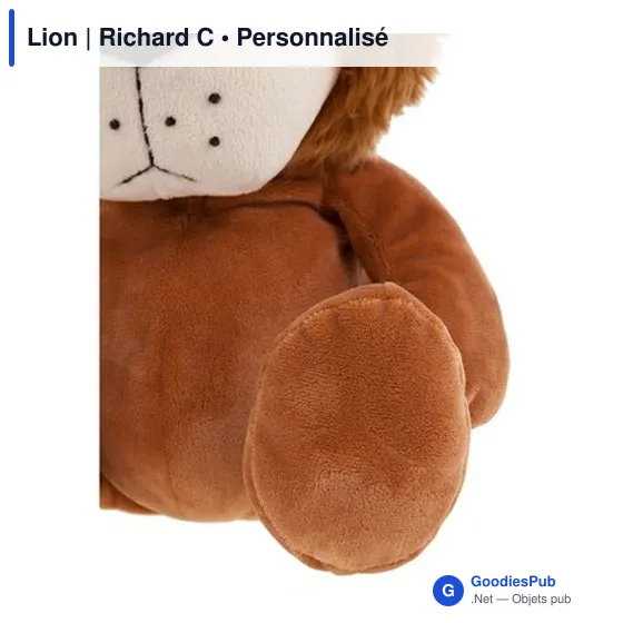 T-shirt personnalisé pour entreprise avec logo - Lion Richard C - Image 8