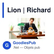 Lion | Richard K - Miniature 2