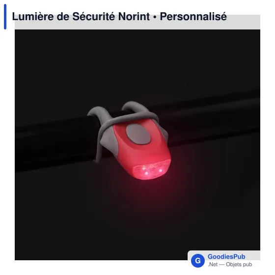Lumière de Sécurité Norint - Image 10