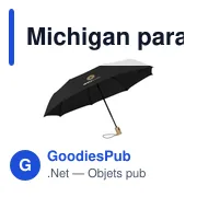 Parapluie pliable personnalisable Michigan avec logo - 21 inch - Miniature 7