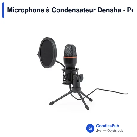 Microphone à Condensateur Densha